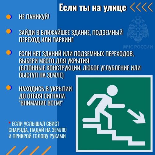 IMG_20240828_091936_946